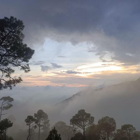 The Western Heights I Serviced Apartments I Pvt Balcony I Lift I Peacefull Area I Family Accomodation I Kasauli I By Exotic Stays Bagian luar foto