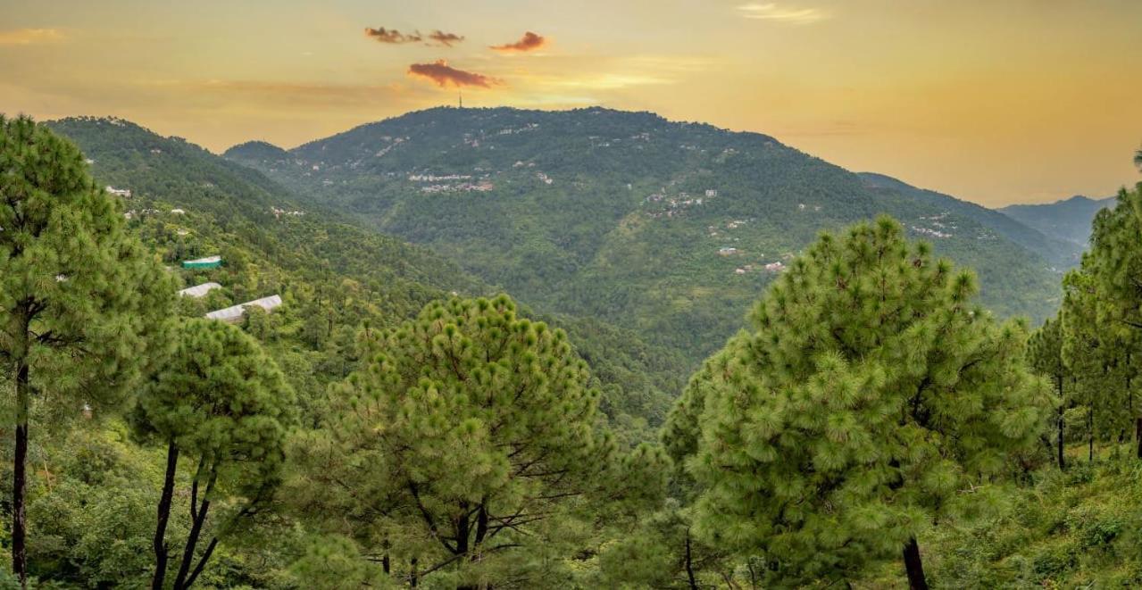 The Western Heights I Serviced Apartments I Pvt Balcony I Lift I Peacefull Area I Family Accomodation I Kasauli I By Exotic Stays Bagian luar foto