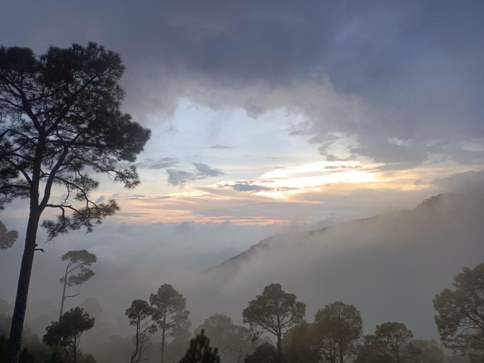 The Western Heights I Serviced Apartments I Pvt Balcony I Lift I Peacefull Area I Family Accomodation I Kasauli I By Exotic Stays Bagian luar foto